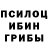 Псилоцибиновые грибы прущие грибы Lynda Unrau