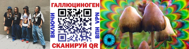 Псилоцибиновые грибы прущие грибы Советская Гавань