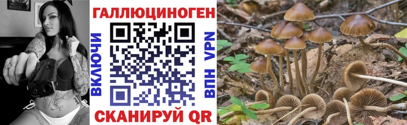 Псилоцибиновые грибы Magic Shrooms  Советская Гавань 